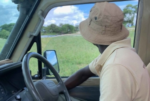 Arusha: Arushan kansallispuiston safariretki