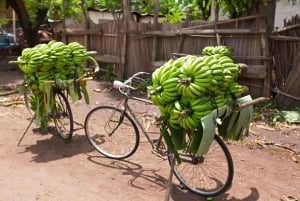 Arusha: Bananen-Erlebnis, Bananenfarmen, Kochen & Kultur