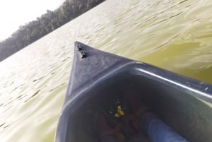 Zanzibar: Halvdagsutflykt till fängelseön