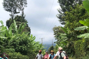 Arusha: Kanotpaddling/kajakpaddling och/eller cykeläventyr (med lunch)