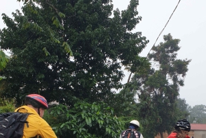 Arusha: Kanotpaddling/kajakpaddling och/eller cykeläventyr (med lunch)