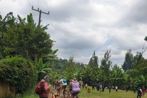 Arusha: Kanotpaddling/kajakpaddling och/eller cykeläventyr (med lunch)
