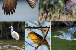 Arusha: Kanotpaddling/kajakpaddling och/eller cykeläventyr (med lunch)