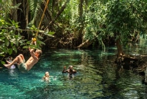 Arusha by, Chemka HotSpring, Materuni vandfald, kaffetur