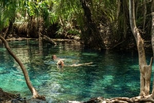 Arusha by, Chemka HotSpring, Materuni vandfald, kaffetur