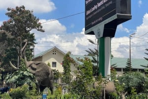 Arusha by, Chemka HotSpring, Materuni vandfald, kaffetur