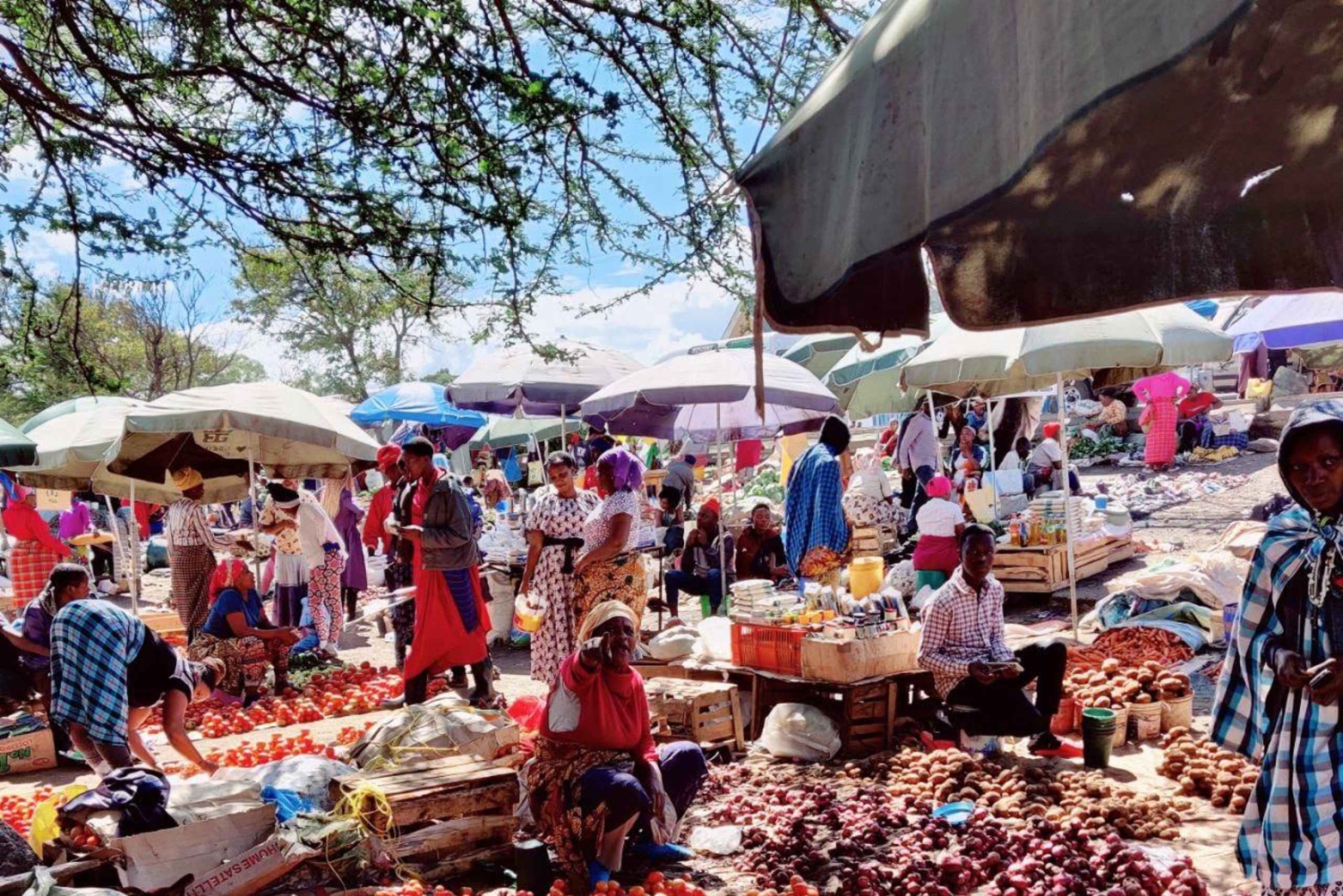 Arusha: Byrundtur, tuktuk-tur og fottur