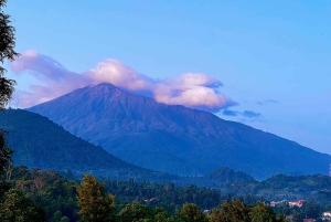 Аруша: экскурсия по городу с заездом и выездом из отеля