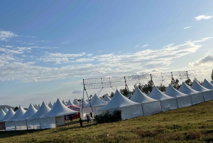 Аруша: экскурсия по городу с заездом и выездом из отеля