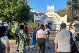 Arusha: Stadsvandring med lunch, klocktorn och museum