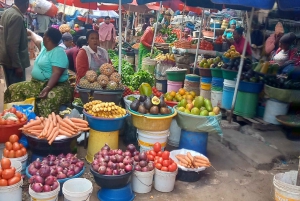 Visite guidée de la ville d'Arusha Culture, mode de vie et histoire