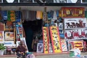 Arusha : visite à pied de la ville, points forts historiques et modernes