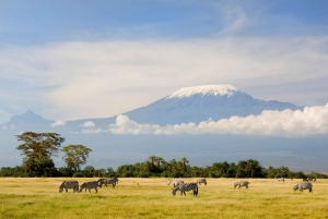 Arusha: koffieboerderij en watervallen