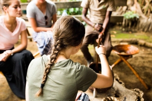 Arusha: tour di una piantagione di caffè con degustazione e tostatura