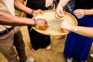 Arusha: tour di una piantagione di caffè con degustazione e tostatura