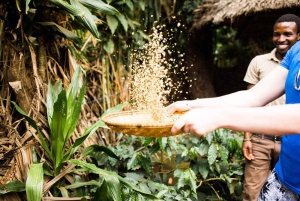 Arusha: tour di una piantagione di caffè con degustazione e tostatura