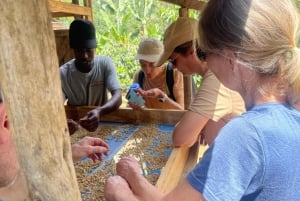 Аруша: кофейный тур, кулинарный мастер-класс и дегустация местных блюд.