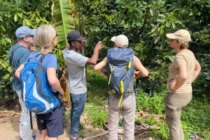 Аруша: кофейный тур, кулинарный мастер-класс и дегустация местных блюд.