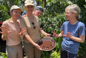 Аруша: кофейный тур, кулинарный мастер-класс и дегустация местных блюд.