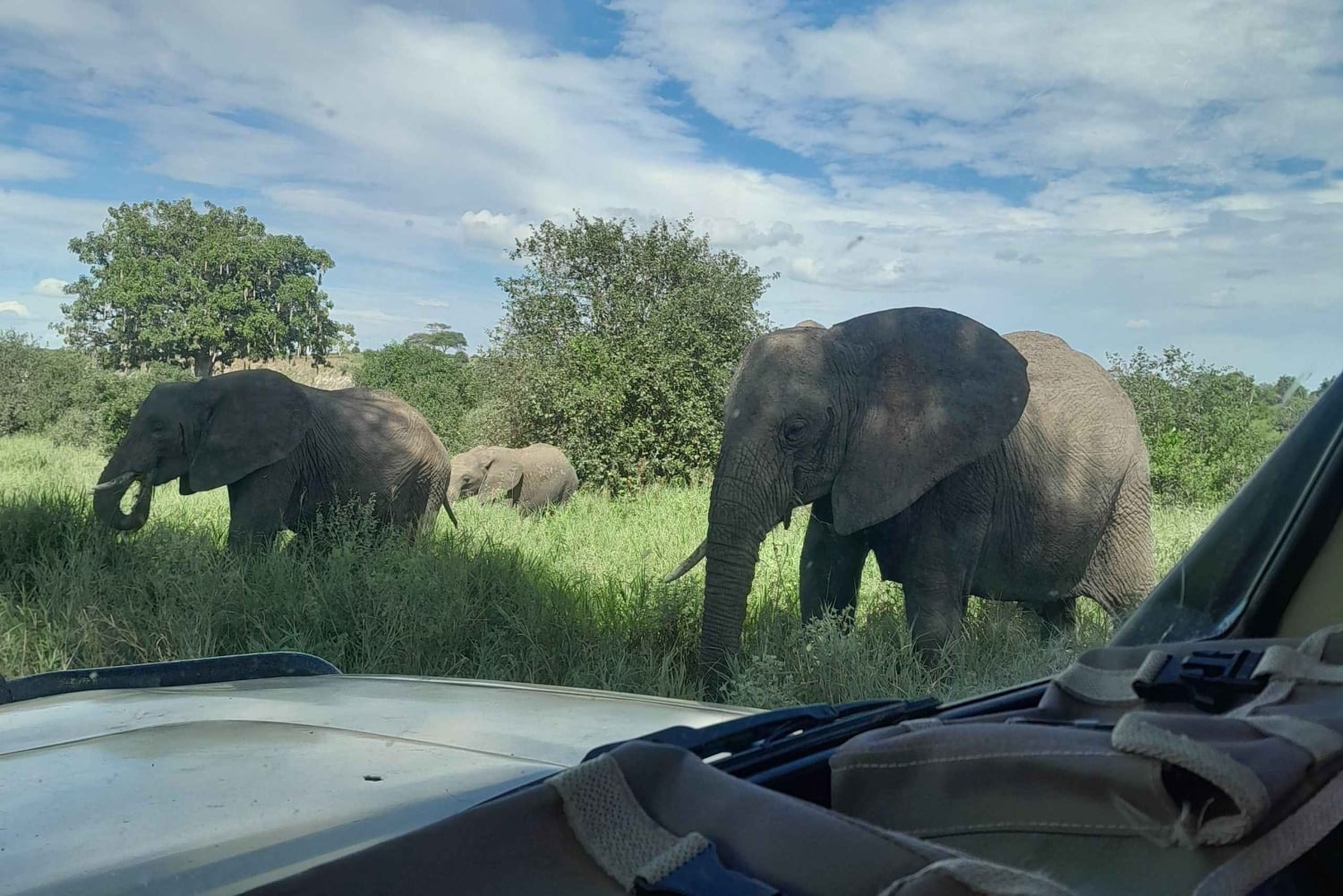 Arusha: Kaffeetour, Mangalia-Wasserfälle & Tarangire-NP