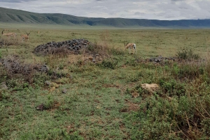 Arusha: Kaffeetour, Mangalia-Wasserfälle & Tarangire-NP