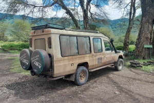 Arusha: Kaffeetour, Mangalia-Wasserfälle & Tarangire-NP