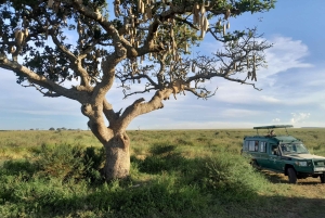 Arusha: Kaffeetour, Mangalia-Wasserfälle & Tarangire-NP