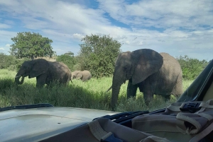 Arusha: Kaffeetour, Mangalia-Wasserfälle & Tarangire-NP