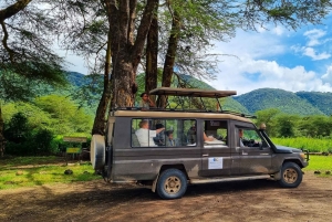 Arusha: Kombi-See Duluti Wanderung und Kanutour, Transfer