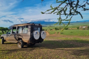 Arusha: Kombi-See Duluti Wanderung und Kanutour, Transfer