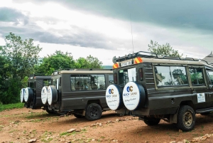 Arusha: Kombi-See Duluti Wanderung und Kanutour, Transfer