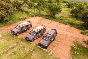 Arusha: Kombi-See Duluti Wanderung und Kanutour, Transfer