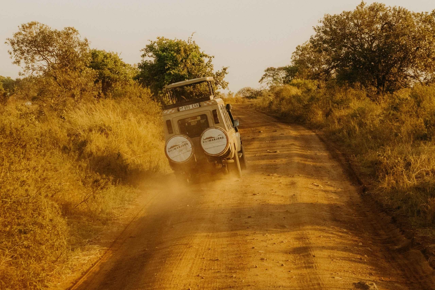 Arusha: dagtrip naar Arusha National Park met lunch.