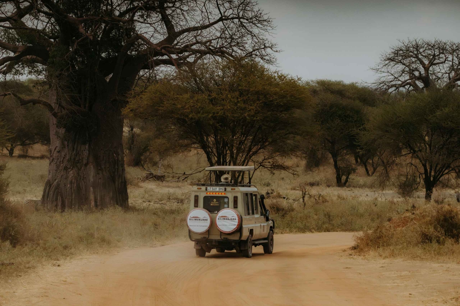 Arusha: dagtrip naar Arusha National Park met lunch.