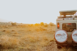 Arusha: dagtrip naar Arusha National Park met lunch.