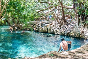 Arusha: Dagstur til Kikuletwa Hot Springs Swimming