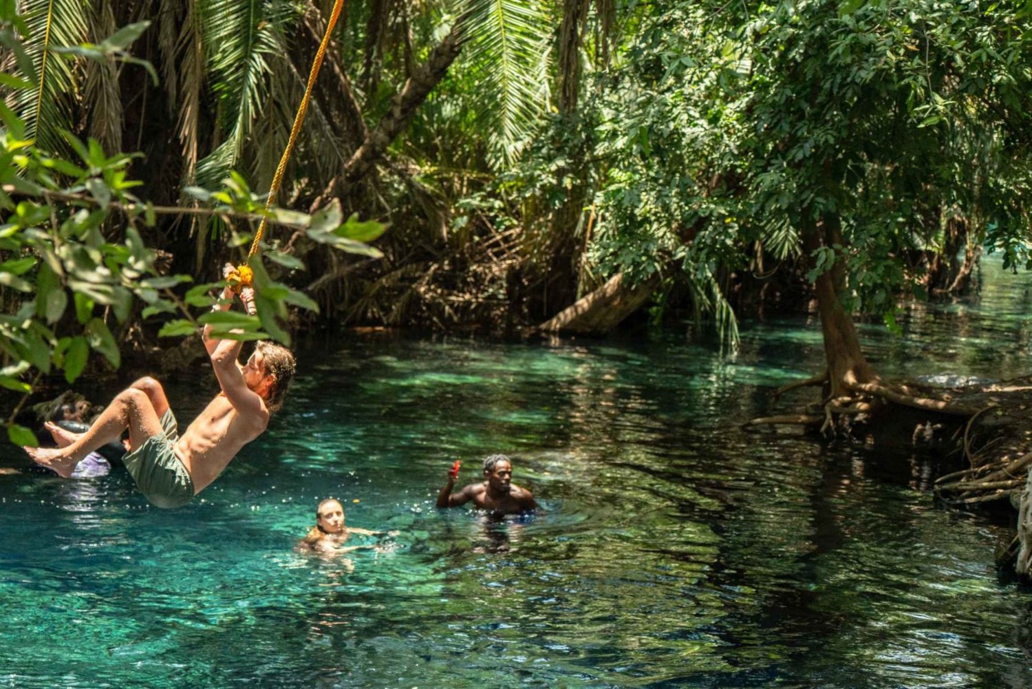 Arusha: Dagsudflugt til Kikuletwa Hot Springs