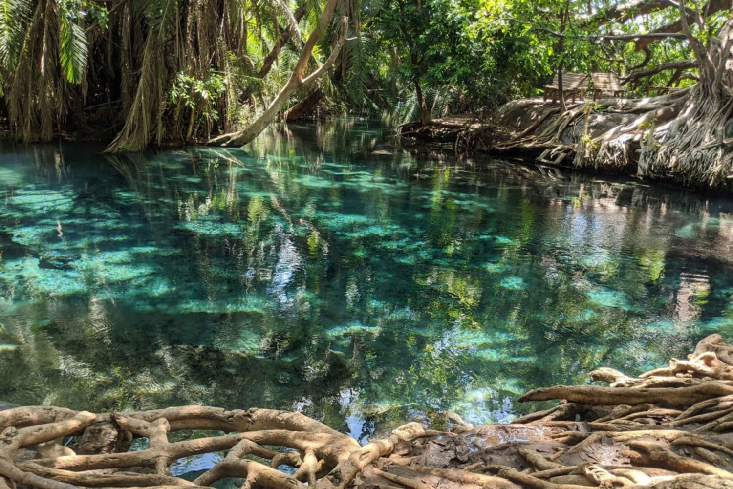 Arusha: Päiväretki Kikuletwan kuumille lähteille