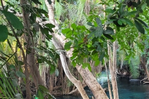 Arusha: Päiväretki Kikuletwan kuumille lähteille