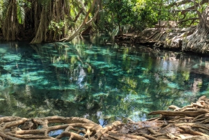 Arusha: Päiväretki Kikuletwan kuumille lähteille