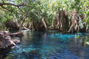 Arusha: Päiväretki Kikuletwan kuumille lähteille