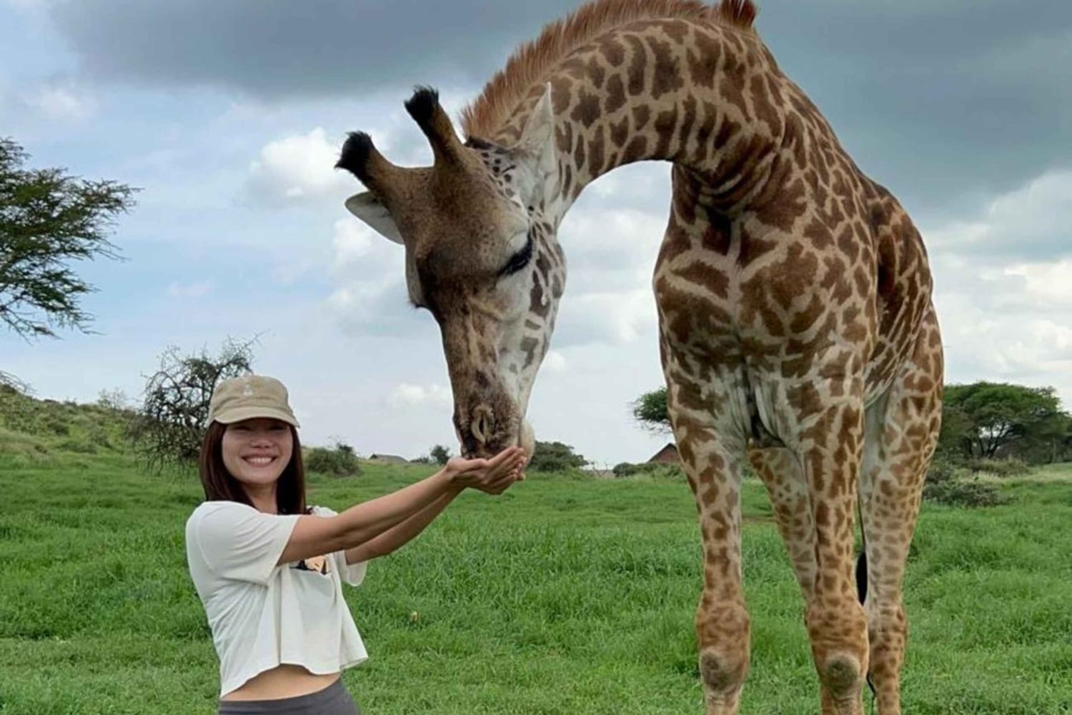 Arusha: Tagestour zur Serval Wildlife – Füttere Giraffen und Löwen