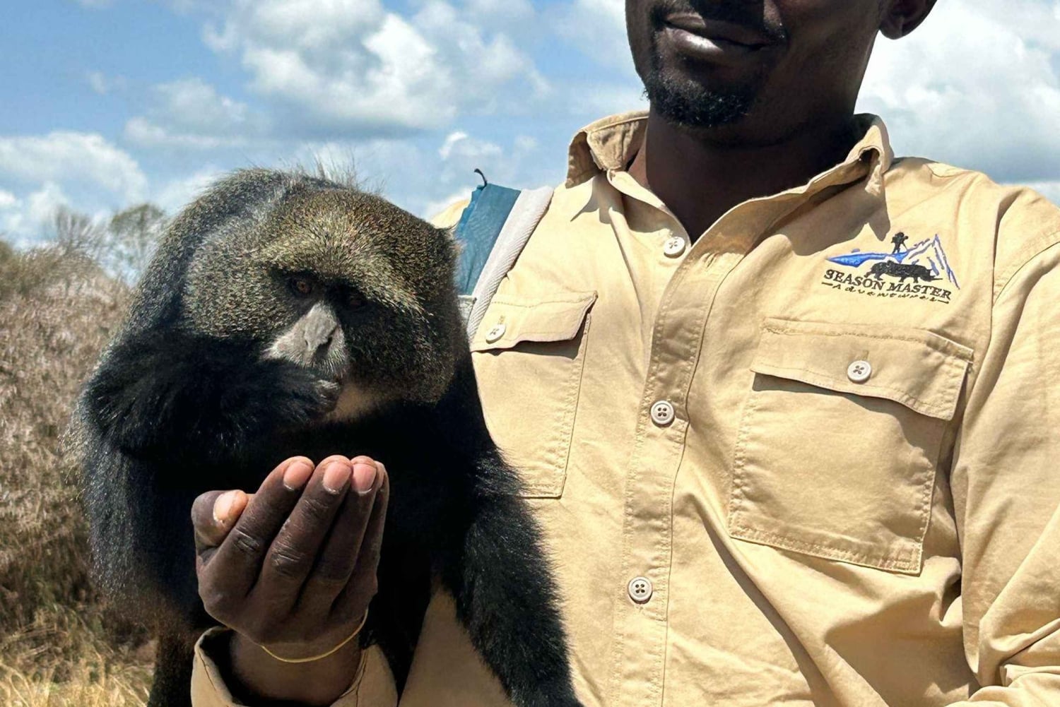 Arusha: Tagestour zur Serval Wildlife – Füttere Giraffen und Löwen