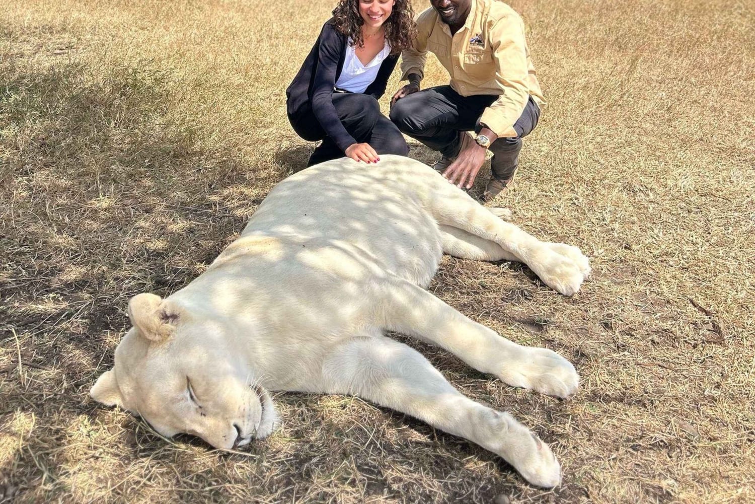 Arusha: Tagestour zur Serval Wildlife – Füttere Giraffen und Löwen