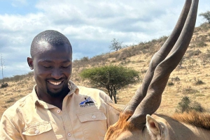 Arusha: Päiväretki Serval Wildlife -syöttää kirahveja ja leijonia