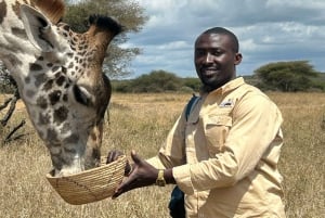 Arusha: Päiväretki Serval Wildlife -syöttää kirahveja ja leijonia