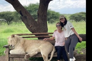 Arusha: Tagestour zur Serval Wildlife – Füttere Giraffen und Löwen