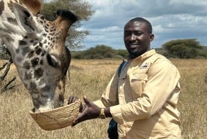 Arusha: Tagestour zur Serval Wildlife – Füttere Giraffen und Löwen