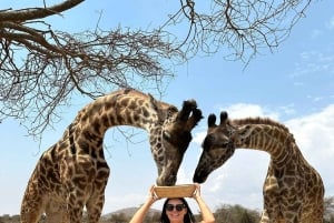 Arusha: Tagestour zur Serval Wildlife – Füttere Giraffen und Löwen
