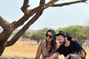 Arusha: Tagestour zur Serval Wildlife – Füttere Giraffen und Löwen